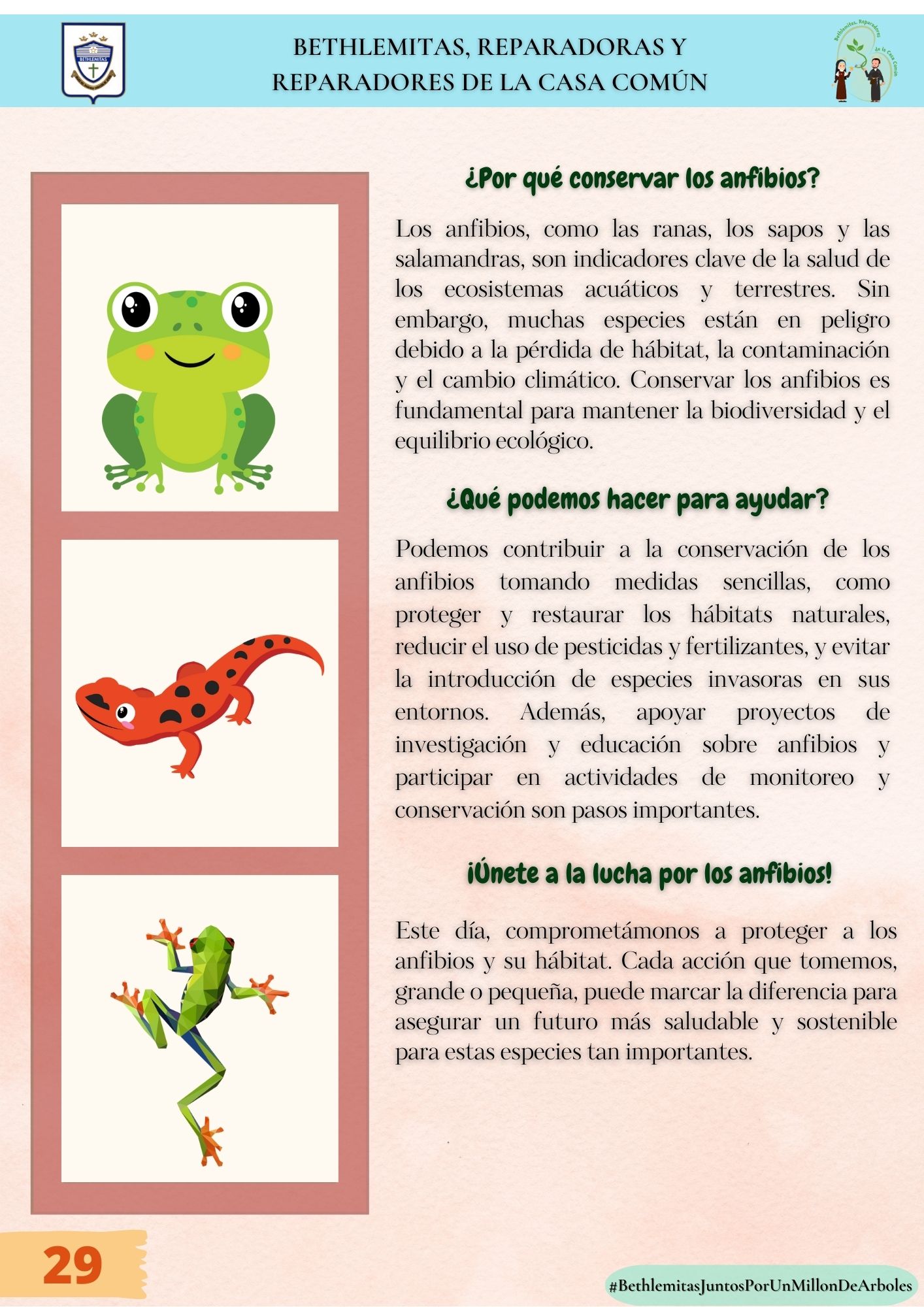ABRIL_29_ANFIBIOS