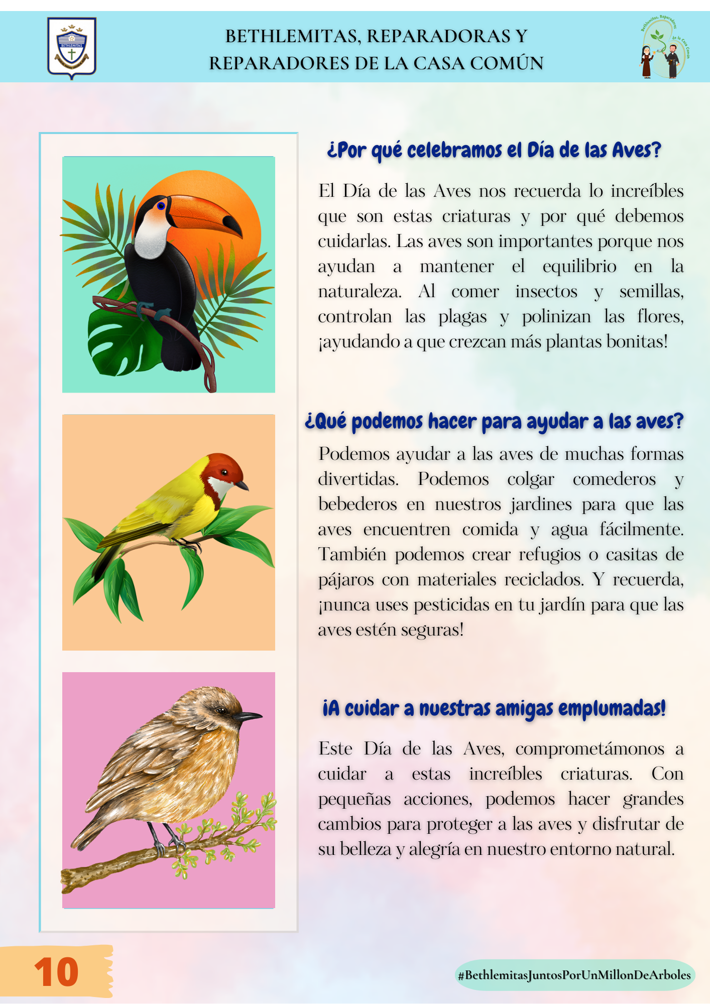 DÍA DE LAS AVES_ENERO 10