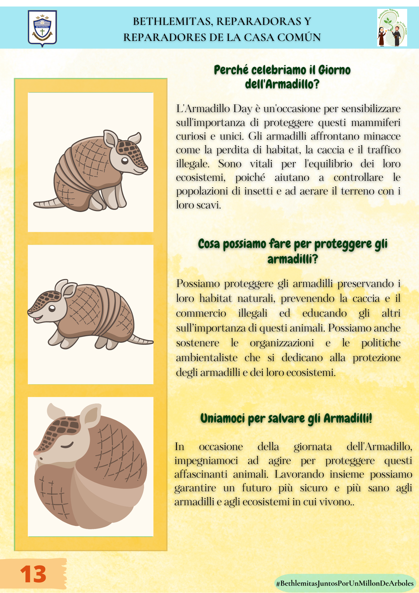 ESP_AGOSTO_10 (3)
